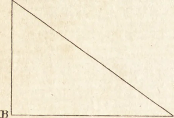 An illustration from A new and complete dictionary of arts and sciences : comprehending all the branches of useful knowledge, with accurate descriptions as well of the various machines, instruments, tools, figures, and schemes necessary for illustrating them, as of the classes, kinds, preparations, and uses of natural productions, whether animals, vegetables, minerals, fossils, or fluids : together with the kingdoms, provinces, cities, towns, and other remarkable places throughout the world : illustrated with above three hundred copper-plates, engraved by Mr. Jefferys, geographer to His Majesty : the whole extracted from the best authors in all languages, 1763, leaf 989