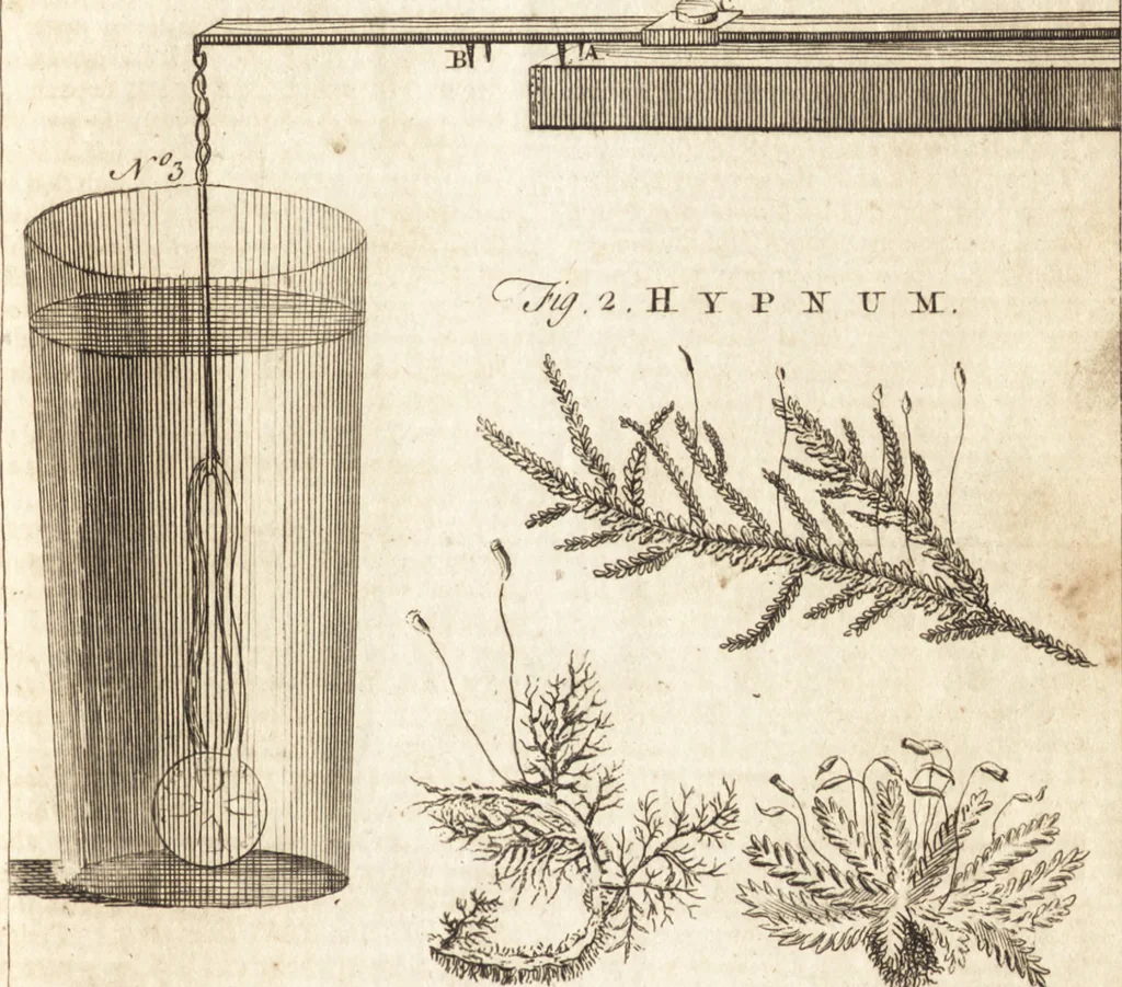 An illustration from A new and complete dictionary of arts and sciences : comprehending all the branches of useful knowledge, with accurate descriptions as well of the various machines, instruments, tools, figures, and schemes necessary for illustrating them, as of the classes, kinds, preparations, and uses of natural productions, whether animals, vegetables, minerals, fossils, or fluids : together with the kingdoms, provinces, cities, towns, and other remarkable places throughout the world : illustrated with above three hundred copper-plates, engraved by Mr. Jefferys, geographer to His Majesty : the whole extracted from the best authors in all languages, 1763, leaf 998