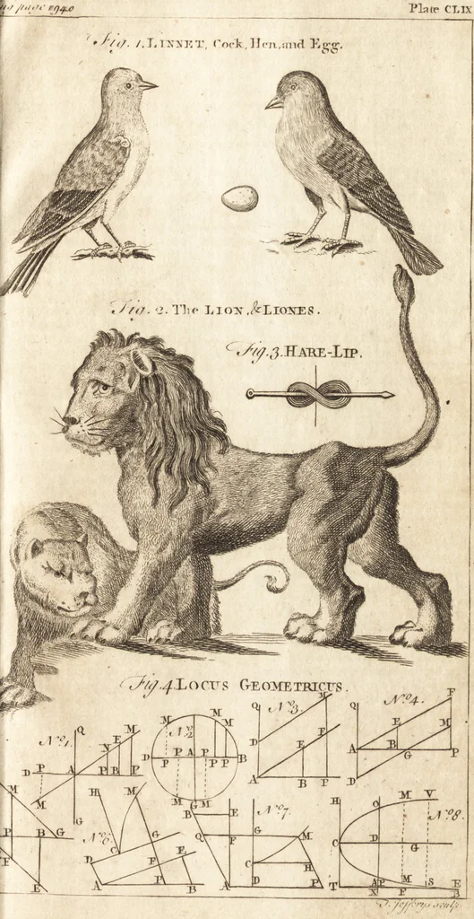 An illustration from A new and complete dictionary of arts and sciences : comprehending all the branches of useful knowledge, with accurate descriptions as well of the various machines, instruments, tools, figures, and schemes necessary for illustrating them, as of the classes, kinds, preparations, and uses of natural productions, whether animals, vegetables, minerals, fossils, or fluids : together with the kingdoms, provinces, cities, towns, and other remarkable places throughout the world : illustrated with above three hundred copper-plates, engraved by Mr. Jefferys, geographer to His Majesty : the whole extracted from the best authors in all languages, 1763, leaf 102
