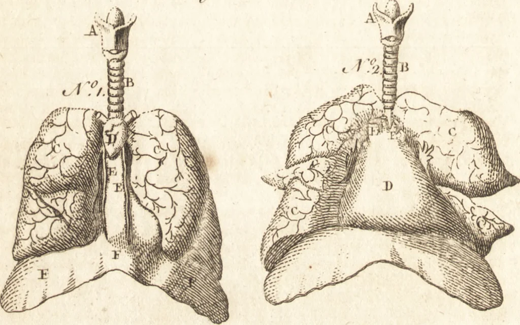 An illustration from A new and complete dictionary of arts and sciences : comprehending all the branches of useful knowledge, with accurate descriptions as well of the various machines, instruments, tools, figures, and schemes necessary for illustrating them, as of the classes, kinds, preparations, and uses of natural productions, whether animals, vegetables, minerals, fossils, or fluids : together with the kingdoms, provinces, cities, towns, and other remarkable places throughout the world : illustrated with above three hundred copper-plates, engraved by Mr. Jefferys, geographer to His Majesty : the whole extracted from the best authors in all languages, 1763, leaf 155