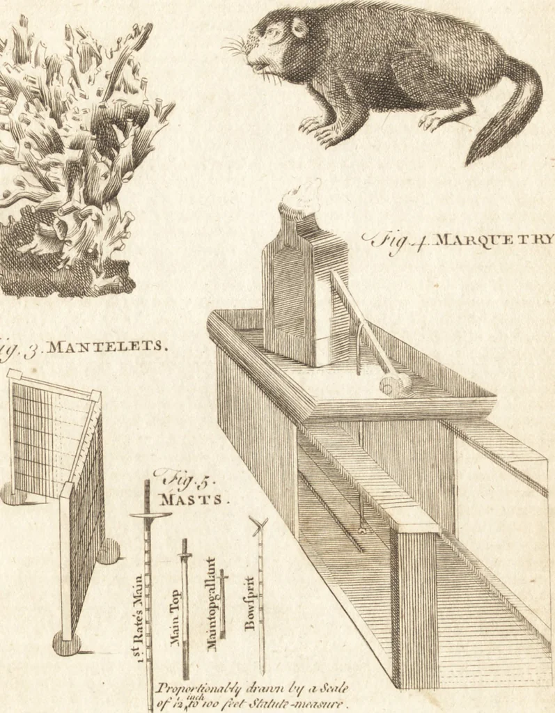 An illustration from A new and complete dictionary of arts and sciences : comprehending all the branches of useful knowledge, with accurate descriptions as well of the various machines, instruments, tools, figures, and schemes necessary for illustrating them, as of the classes, kinds, preparations, and uses of natural productions, whether animals, vegetables, minerals, fossils, or fluids : together with the kingdoms, provinces, cities, towns, and other remarkable places throughout the world : illustrated with above three hundred copper-plates, engraved by Mr. Jefferys, geographer to His Majesty : the whole extracted from the best authors in all languages, 1763, leaf 216
