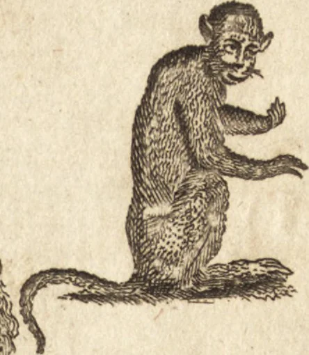 An illustration from A new and complete dictionary of arts and sciences : comprehending all the branches of useful knowledge, with accurate descriptions as well of the various machines, instruments, tools, figures, and schemes necessary for illustrating them, as of the classes, kinds, preparations, and uses of natural productions, whether animals, vegetables, minerals, fossils, or fluids : together with the kingdoms, provinces, cities, towns, and other remarkable places throughout the world : illustrated with above three hundred copper-plates, engraved by Mr. Jefferys, geographer to His Majesty : the whole extracted from the best authors in all languages, 1763, leaf 344