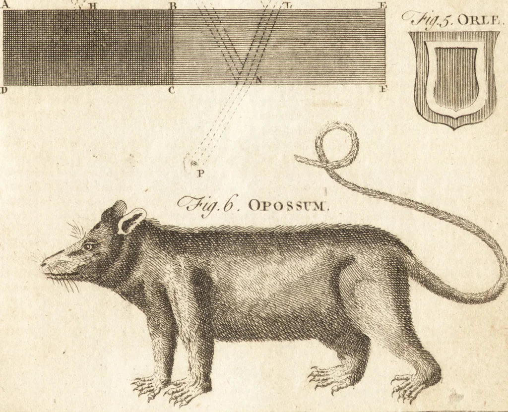 An illustration from A new and complete dictionary of arts and sciences : comprehending all the branches of useful knowledge, with accurate descriptions as well of the various machines, instruments, tools, figures, and schemes necessary for illustrating them, as of the classes, kinds, preparations, and uses of natural productions, whether animals, vegetables, minerals, fossils, or fluids : together with the kingdoms, provinces, cities, towns, and other remarkable places throughout the world : illustrated with above three hundred copper-plates, engraved by Mr. Jefferys, geographer to His Majesty : the whole extracted from the best authors in all languages, 1763, leaf 462