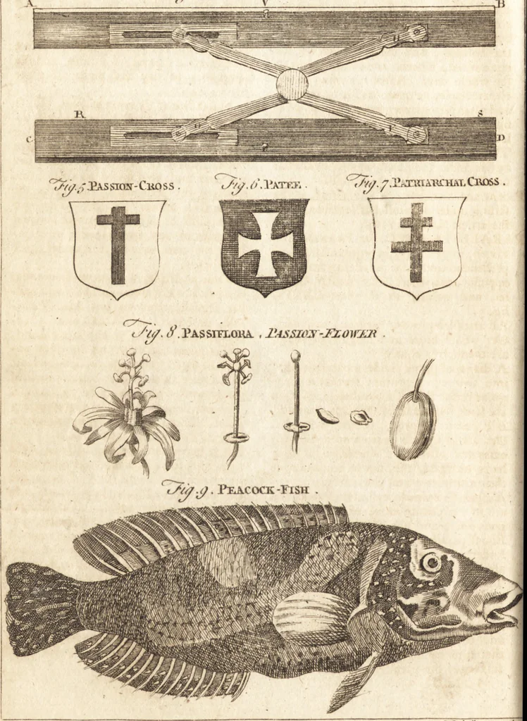 An illustration from A new and complete dictionary of arts and sciences : comprehending all the branches of useful knowledge, with accurate descriptions as well of the various machines, instruments, tools, figures, and schemes necessary for illustrating them, as of the classes, kinds, preparations, and uses of natural productions, whether animals, vegetables, minerals, fossils, or fluids : together with the kingdoms, provinces, cities, towns, and other remarkable places throughout the world : illustrated with above three hundred copper-plates, engraved by Mr. Jefferys, geographer to His Majesty : the whole extracted from the best authors in all languages, 1763, leaf 585