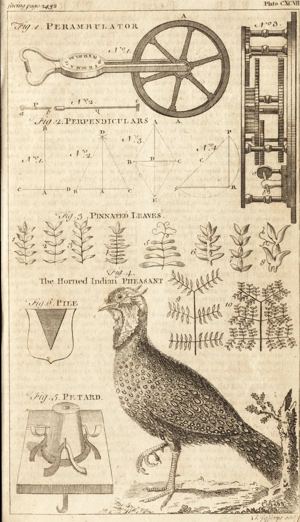 An illustration from A new and complete dictionary of arts and sciences : comprehending all the branches of useful knowledge, with accurate descriptions as well of the various machines, instruments, tools, figures, and schemes necessary for illustrating them, as of the classes, kinds, preparations, and uses of natural productions, whether animals, vegetables, minerals, fossils, or fluids : together with the kingdoms, provinces, cities, towns, and other remarkable places throughout the world : illustrated with above three hundred copper-plates, engraved by Mr. Jefferys, geographer to His Majesty : the whole extracted from the best authors in all languages, 1763, leaf 648
