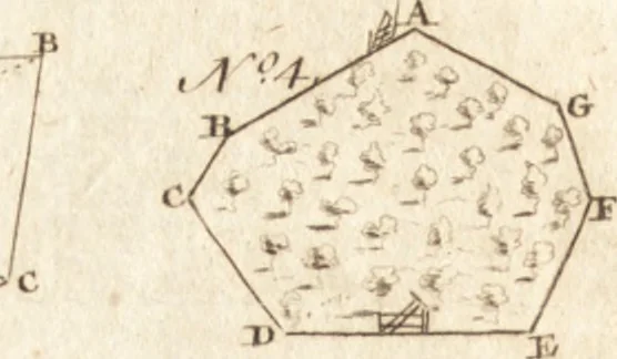 An illustration from A new and complete dictionary of arts and sciences : comprehending all the branches of useful knowledge, with accurate descriptions as well of the various machines, instruments, tools, figures, and schemes necessary for illustrating them, as of the classes, kinds, preparations, and uses of natural productions, whether animals, vegetables, minerals, fossils, or fluids : together with the kingdoms, provinces, cities, towns, and other remarkable places throughout the world : illustrated with above three hundred copper-plates, engraved by Mr. Jefferys, geographer to His Majesty : the whole extracted from the best authors in all languages, 1763, leaf 723