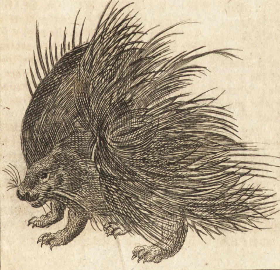 An illustration from A new and complete dictionary of arts and sciences : comprehending all the branches of useful knowledge, with accurate descriptions as well of the various machines, instruments, tools, figures, and schemes necessary for illustrating them, as of the classes, kinds, preparations, and uses of natural productions, whether animals, vegetables, minerals, fossils, or fluids : together with the kingdoms, provinces, cities, towns, and other remarkable places throughout the world : illustrated with above three hundred copper-plates, engraved by Mr. Jefferys, geographer to His Majesty : the whole extracted from the best authors in all languages, 1763, leaf 746