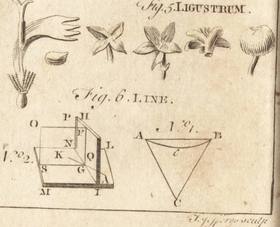 An illustration from A new and complete dictionary of arts and sciences : comprehending all the branches of useful knowledge, with accurate descriptions as well of the various machines, instruments, tools, figures, and schemes necessary for illustrating them, as of the classes, kinds, preparations, and uses of natural productions, whether animals, vegetables, minerals, fossils, or fluids : together with the kingdoms, provinces, cities, towns, and other remarkable places throughout the world : illustrated with above three hundred copper-plates, engraved by Mr. Jefferys, geographer to His Majesty : the whole extracted from the best authors in all languages, 1763, leaf 89