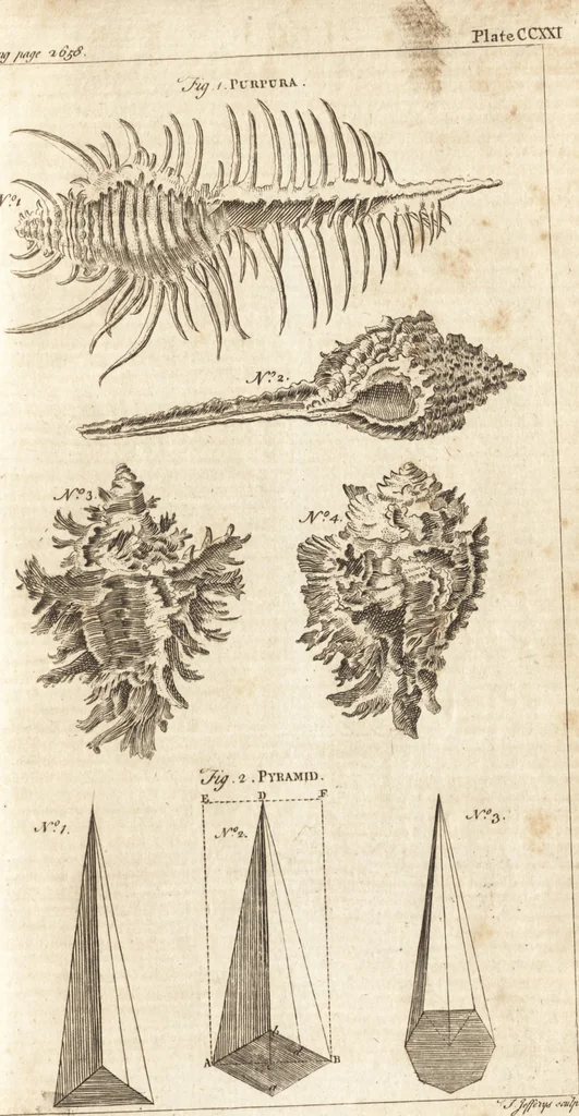 An illustration from A new and complete dictionary of arts and sciences : comprehending all the branches of useful knowledge, with accurate descriptions as well of the various machines, instruments, tools, figures, and schemes necessary for illustrating them, as of the classes, kinds, preparations, and uses of natural productions, whether animals, vegetables, minerals, fossils, or fluids : together with the kingdoms, provinces, cities, towns, and other remarkable places throughout the world : illustrated with above three hundred copper-plates, engraved by Mr. Jefferys, geographer to His Majesty : the whole extracted from the best authors in all languages, 1763, leaf 922