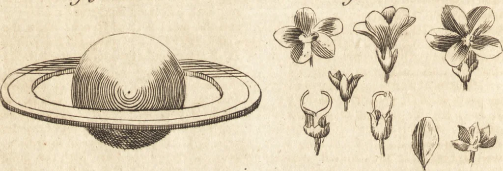 An illustration from A new and complete dictionary of arts and sciences : comprehending all the branches of useful knowledge, with accurate descriptions as well of the various machines, instruments, tools, figures, and schemes necessary for illustrating them, as of the classes, kinds, preparations, and uses of natural productions, whether animals, vegetables, minerals, fossils, or fluids : together with the kingdoms, provinces, cities, towns, and other remarkable places throughout the world : illustrated with above three hundred copper-plates, engraved by Mr. Jefferys, geographer to His Majesty : the whole extracted from the best authors in all languages, 1763, leaf 165