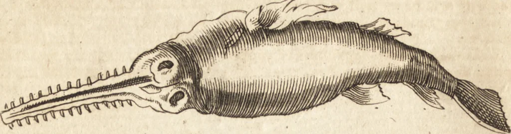 An illustration from A new and complete dictionary of arts and sciences : comprehending all the branches of useful knowledge, with accurate descriptions as well of the various machines, instruments, tools, figures, and schemes necessary for illustrating them, as of the classes, kinds, preparations, and uses of natural productions, whether animals, vegetables, minerals, fossils, or fluids : together with the kingdoms, provinces, cities, towns, and other remarkable places throughout the world : illustrated with above three hundred copper-plates, engraved by Mr. Jefferys, geographer to His Majesty : the whole extracted from the best authors in all languages, 1763, leaf 165