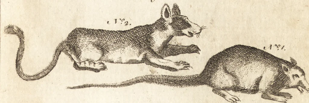 An illustration from A new and complete dictionary of arts and sciences : comprehending all the branches of useful knowledge, with accurate descriptions as well of the various machines, instruments, tools, figures, and schemes necessary for illustrating them, as of the classes, kinds, preparations, and uses of natural productions, whether animals, vegetables, minerals, fossils, or fluids : together with the kingdoms, provinces, cities, towns, and other remarkable places throughout the world : illustrated with above three hundred copper-plates, engraved by Mr. Jefferys, geographer to His Majesty : the whole extracted from the best authors in all languages, 1763, leaf 20
