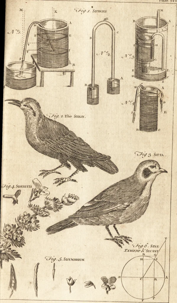 An illustration from A new and complete dictionary of arts and sciences : comprehending all the branches of useful knowledge, with accurate descriptions as well of the various machines, instruments, tools, figures, and schemes necessary for illustrating them, as of the classes, kinds, preparations, and uses of natural productions, whether animals, vegetables, minerals, fossils, or fluids : together with the kingdoms, provinces, cities, towns, and other remarkable places throughout the world : illustrated with above three hundred copper-plates, engraved by Mr. Jefferys, geographer to His Majesty : the whole extracted from the best authors in all languages, 1763, leaf 324