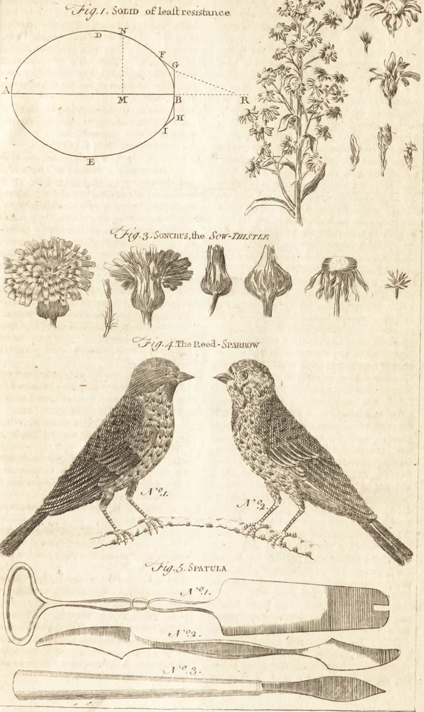 An illustration from A new and complete dictionary of arts and sciences : comprehending all the branches of useful knowledge, with accurate descriptions as well of the various machines, instruments, tools, figures, and schemes necessary for illustrating them, as of the classes, kinds, preparations, and uses of natural productions, whether animals, vegetables, minerals, fossils, or fluids : together with the kingdoms, provinces, cities, towns, and other remarkable places throughout the world : illustrated with above three hundred copper-plates, engraved by Mr. Jefferys, geographer to His Majesty : the whole extracted from the best authors in all languages, 1763, leaf 368