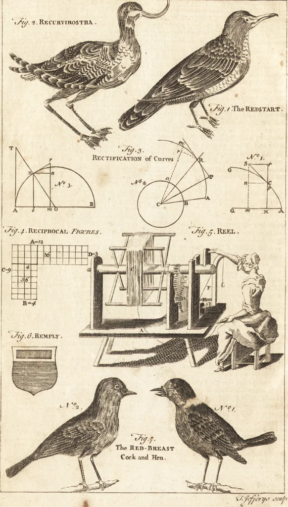 An illustration from A new and complete dictionary of arts and sciences : comprehending all the branches of useful knowledge, with accurate descriptions as well of the various machines, instruments, tools, figures, and schemes necessary for illustrating them, as of the classes, kinds, preparations, and uses of natural productions, whether animals, vegetables, minerals, fossils, or fluids : together with the kingdoms, provinces, cities, towns, and other remarkable places throughout the world : illustrated with above three hundred copper-plates, engraved by Mr. Jefferys, geographer to His Majesty : the whole extracted from the best authors in all languages, 1763, leaf 43
