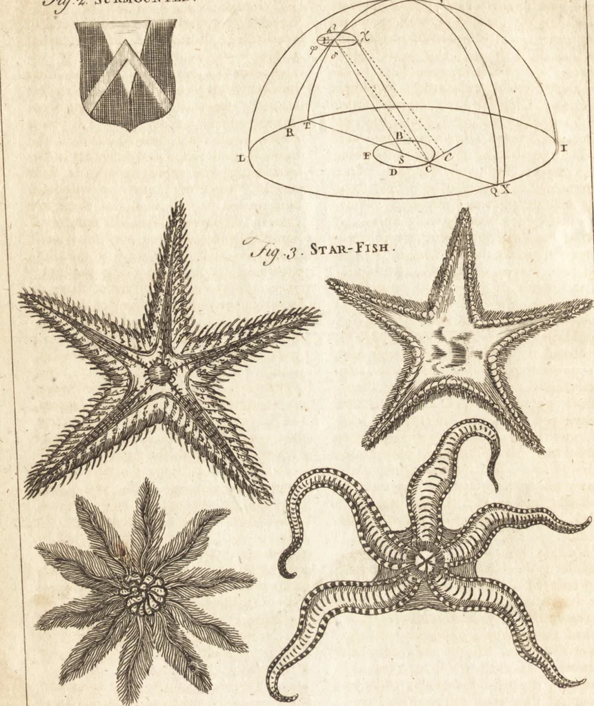 An illustration from A new and complete dictionary of arts and sciences : comprehending all the branches of useful knowledge, with accurate descriptions as well of the various machines, instruments, tools, figures, and schemes necessary for illustrating them, as of the classes, kinds, preparations, and uses of natural productions, whether animals, vegetables, minerals, fossils, or fluids : together with the kingdoms, provinces, cities, towns, and other remarkable places throughout the world : illustrated with above three hundred copper-plates, engraved by Mr. Jefferys, geographer to His Majesty : the whole extracted from the best authors in all languages, 1763, leaf 433