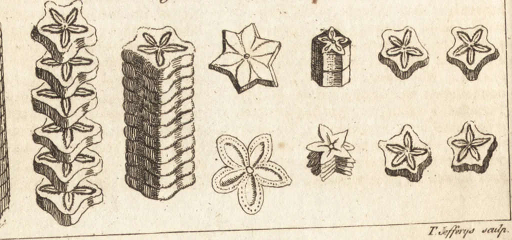 An illustration from A new and complete dictionary of arts and sciences : comprehending all the branches of useful knowledge, with accurate descriptions as well of the various machines, instruments, tools, figures, and schemes necessary for illustrating them, as of the classes, kinds, preparations, and uses of natural productions, whether animals, vegetables, minerals, fossils, or fluids : together with the kingdoms, provinces, cities, towns, and other remarkable places throughout the world : illustrated with above three hundred copper-plates, engraved by Mr. Jefferys, geographer to His Majesty : the whole extracted from the best authors in all languages, 1763, leaf 433