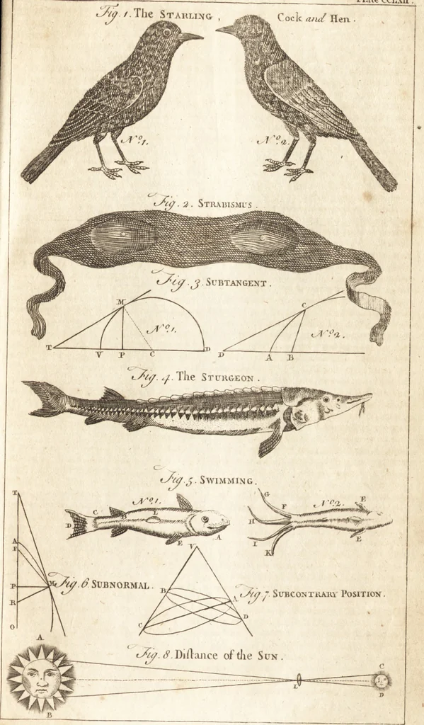 An illustration from A new and complete dictionary of arts and sciences : comprehending all the branches of useful knowledge, with accurate descriptions as well of the various machines, instruments, tools, figures, and schemes necessary for illustrating them, as of the classes, kinds, preparations, and uses of natural productions, whether animals, vegetables, minerals, fossils, or fluids : together with the kingdoms, provinces, cities, towns, and other remarkable places throughout the world : illustrated with above three hundred copper-plates, engraved by Mr. Jefferys, geographer to His Majesty : the whole extracted from the best authors in all languages, 1763, leaf 440