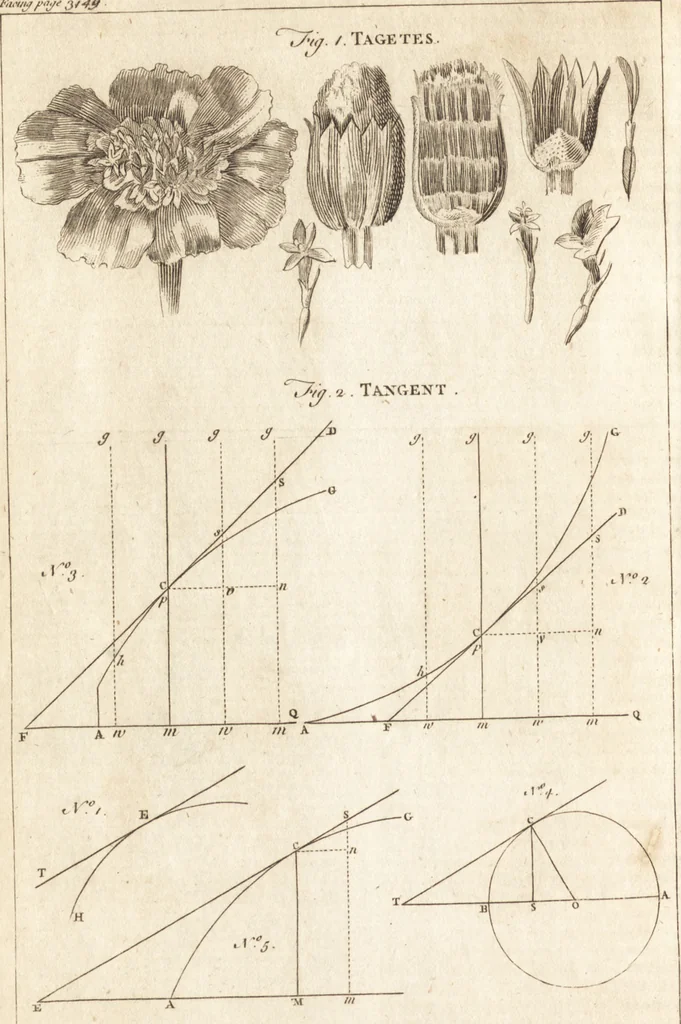 An illustration from A new and complete dictionary of arts and sciences : comprehending all the branches of useful knowledge, with accurate descriptions as well of the various machines, instruments, tools, figures, and schemes necessary for illustrating them, as of the classes, kinds, preparations, and uses of natural productions, whether animals, vegetables, minerals, fossils, or fluids : together with the kingdoms, provinces, cities, towns, and other remarkable places throughout the world : illustrated with above three hundred copper-plates, engraved by Mr. Jefferys, geographer to His Majesty : the whole extracted from the best authors in all languages, 1763, leaf 529