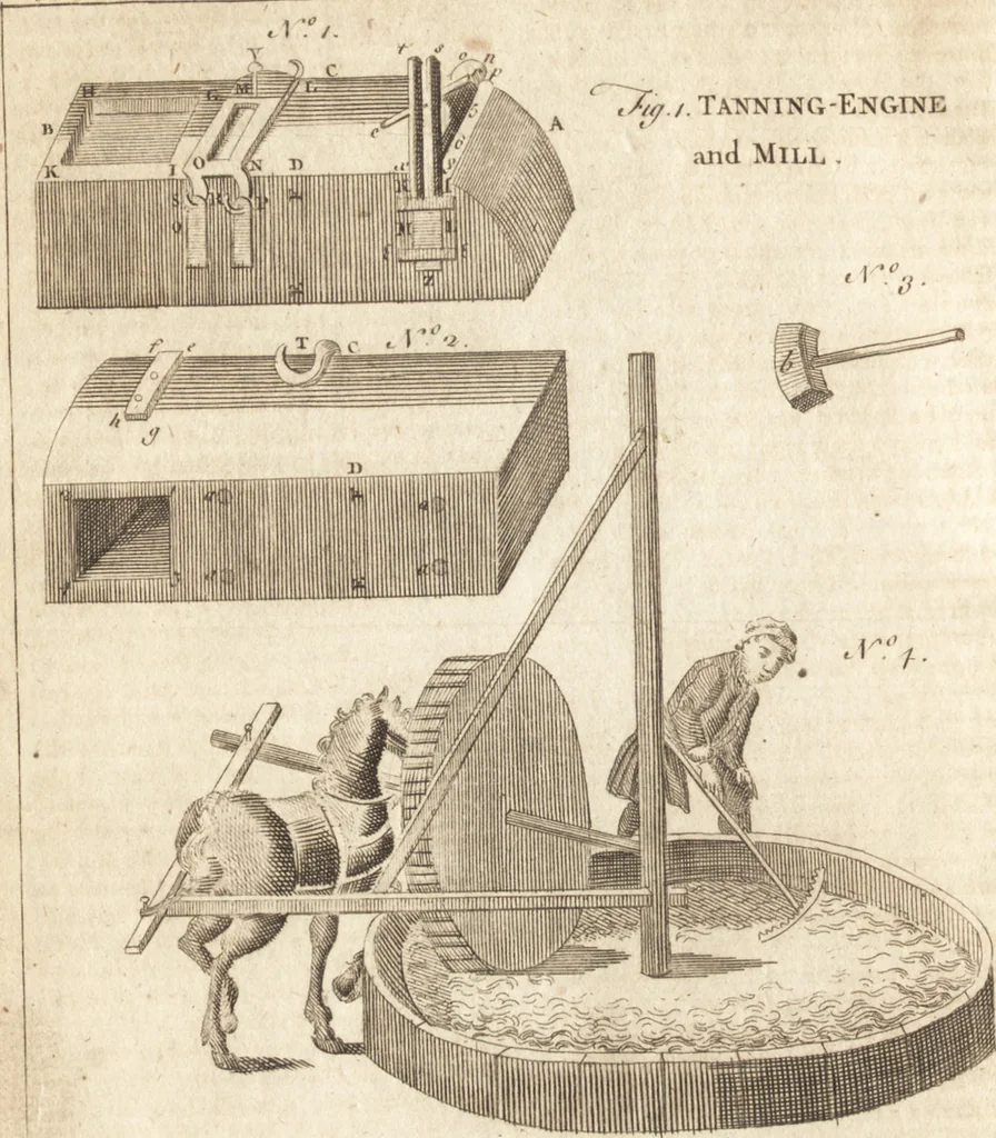 An illustration from A new and complete dictionary of arts and sciences : comprehending all the branches of useful knowledge, with accurate descriptions as well of the various machines, instruments, tools, figures, and schemes necessary for illustrating them, as of the classes, kinds, preparations, and uses of natural productions, whether animals, vegetables, minerals, fossils, or fluids : together with the kingdoms, provinces, cities, towns, and other remarkable places throughout the world : illustrated with above three hundred copper-plates, engraved by Mr. Jefferys, geographer to His Majesty : the whole extracted from the best authors in all languages, 1763, leaf 539