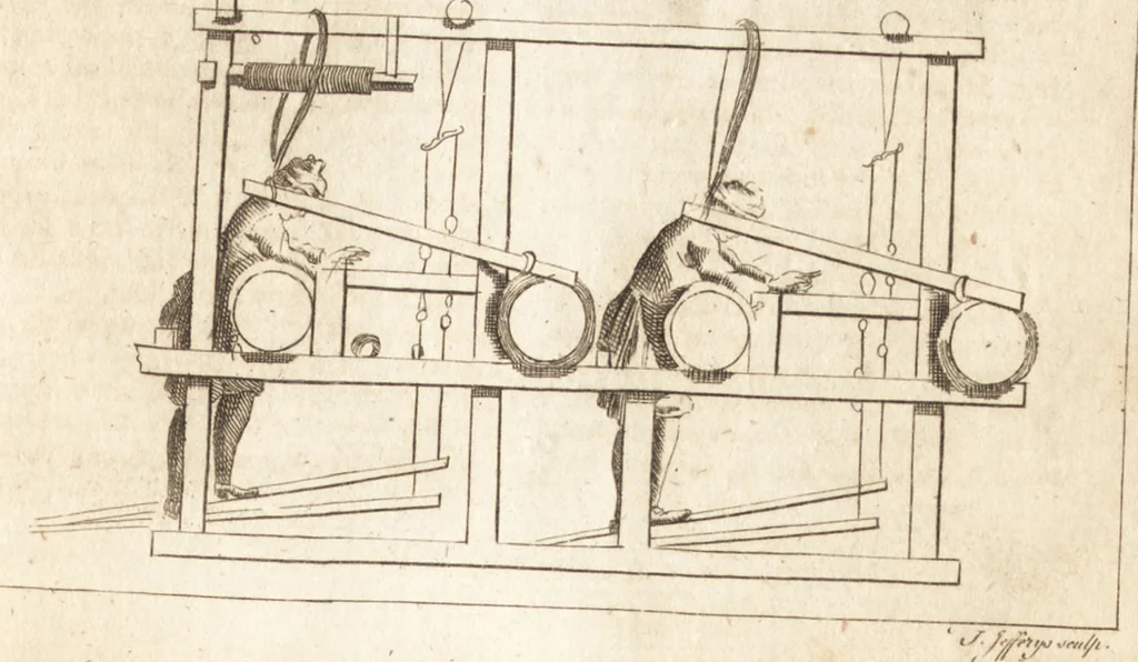 An illustration from A new and complete dictionary of arts and sciences : comprehending all the branches of useful knowledge, with accurate descriptions as well of the various machines, instruments, tools, figures, and schemes necessary for illustrating them, as of the classes, kinds, preparations, and uses of natural productions, whether animals, vegetables, minerals, fossils, or fluids : together with the kingdoms, provinces, cities, towns, and other remarkable places throughout the world : illustrated with above three hundred copper-plates, engraved by Mr. Jefferys, geographer to His Majesty : the whole extracted from the best authors in all languages, 1763, leaf 544