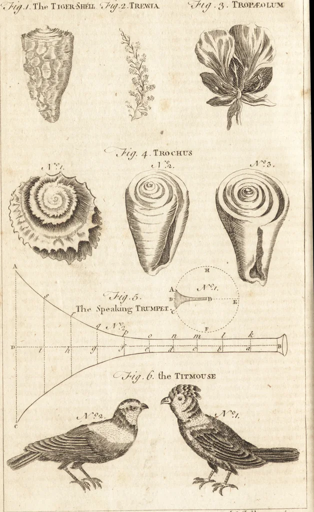 An illustration from A new and complete dictionary of arts and sciences : comprehending all the branches of useful knowledge, with accurate descriptions as well of the various machines, instruments, tools, figures, and schemes necessary for illustrating them, as of the classes, kinds, preparations, and uses of natural productions, whether animals, vegetables, minerals, fossils, or fluids : together with the kingdoms, provinces, cities, towns, and other remarkable places throughout the world : illustrated with above three hundred copper-plates, engraved by Mr. Jefferys, geographer to His Majesty : the whole extracted from the best authors in all languages, 1763, leaf 703
