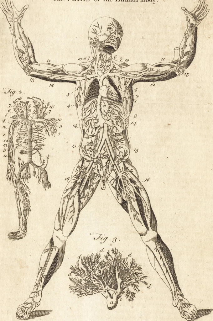 An illustration from A new and complete dictionary of arts and sciences : comprehending all the branches of useful knowledge, with accurate descriptions as well of the various machines, instruments, tools, figures, and schemes necessary for illustrating them, as of the classes, kinds, preparations, and uses of natural productions, whether animals, vegetables, minerals, fossils, or fluids : together with the kingdoms, provinces, cities, towns, and other remarkable places throughout the world : illustrated with above three hundred copper-plates, engraved by Mr. Jefferys, geographer to His Majesty : the whole extracted from the best authors in all languages, 1763, leaf 760