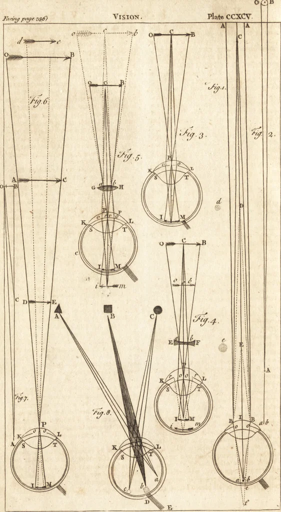 An illustration from A new and complete dictionary of arts and sciences : comprehending all the branches of useful knowledge, with accurate descriptions as well of the various machines, instruments, tools, figures, and schemes necessary for illustrating them, as of the classes, kinds, preparations, and uses of natural productions, whether animals, vegetables, minerals, fossils, or fluids : together with the kingdoms, provinces, cities, towns, and other remarkable places throughout the world : illustrated with above three hundred copper-plates, engraved by Mr. Jefferys, geographer to His Majesty : the whole extracted from the best authors in all languages, 1763, leaf 795