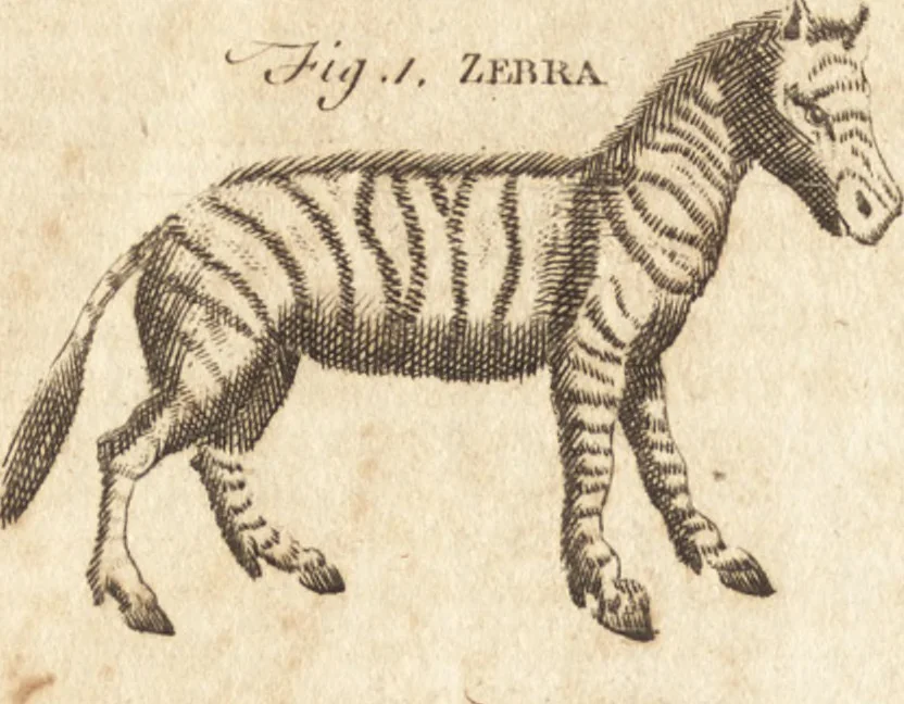 An illustration from A new and complete dictionary of arts and sciences : comprehending all the branches of useful knowledge, with accurate descriptions as well of the various machines, instruments, tools, figures, and schemes necessary for illustrating them, as of the classes, kinds, preparations, and uses of natural productions, whether animals, vegetables, minerals, fossils, or fluids : together with the kingdoms, provinces, cities, towns, and other remarkable places throughout the world : illustrated with above three hundred copper-plates, engraved by Mr. Jefferys, geographer to His Majesty : the whole extracted from the best authors in all languages, 1763, leaf 933
