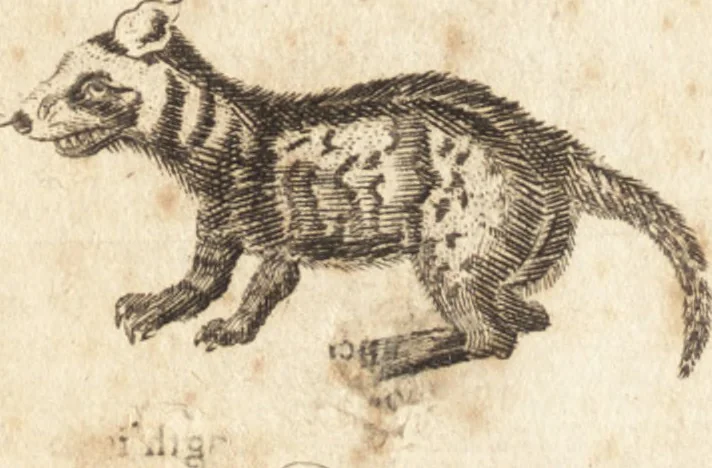 An illustration from A new and complete dictionary of arts and sciences : comprehending all the branches of useful knowledge, with accurate descriptions as well of the various machines, instruments, tools, figures, and schemes necessary for illustrating them, as of the classes, kinds, preparations, and uses of natural productions, whether animals, vegetables, minerals, fossils, or fluids : together with the kingdoms, provinces, cities, towns, and other remarkable places throughout the world : illustrated with above three hundred copper-plates, engraved by Mr. Jefferys, geographer to His Majesty : the whole extracted from the best authors in all languages, 1763, leaf 933