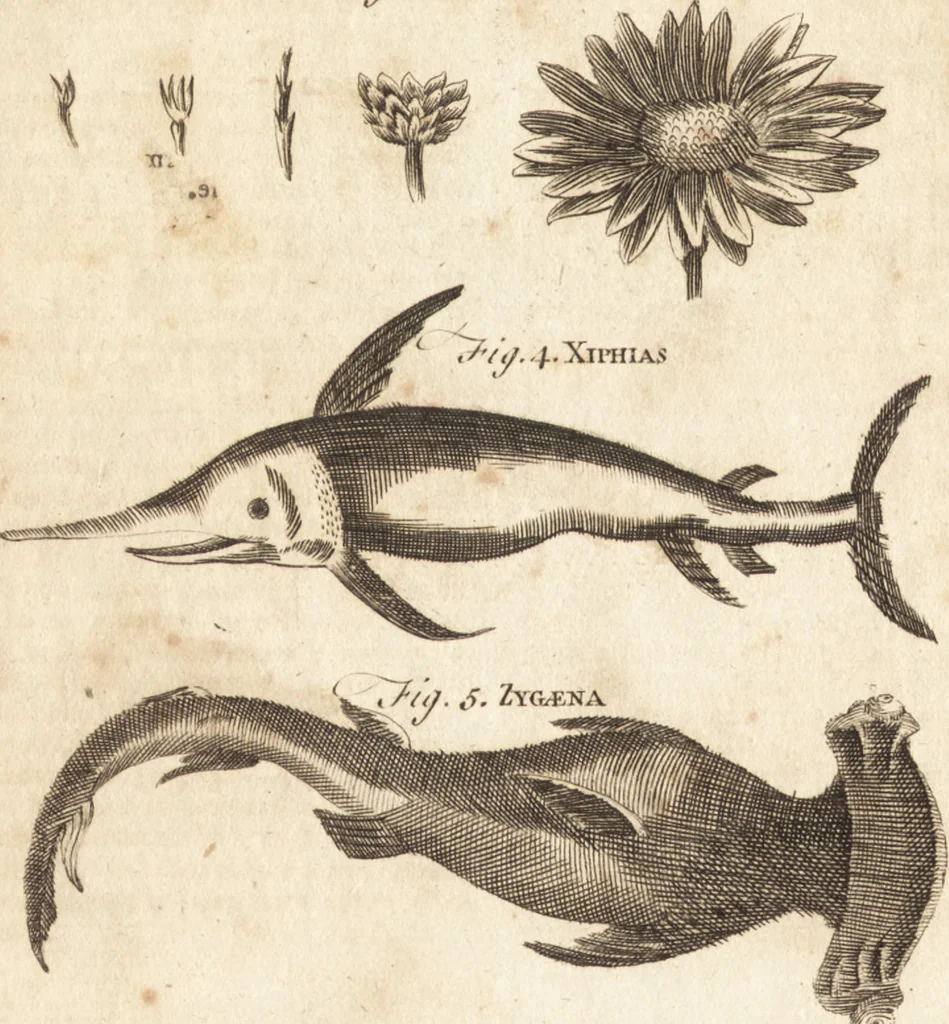 An illustration from A new and complete dictionary of arts and sciences : comprehending all the branches of useful knowledge, with accurate descriptions as well of the various machines, instruments, tools, figures, and schemes necessary for illustrating them, as of the classes, kinds, preparations, and uses of natural productions, whether animals, vegetables, minerals, fossils, or fluids : together with the kingdoms, provinces, cities, towns, and other remarkable places throughout the world : illustrated with above three hundred copper-plates, engraved by Mr. Jefferys, geographer to His Majesty : the whole extracted from the best authors in all languages, 1763, leaf 933