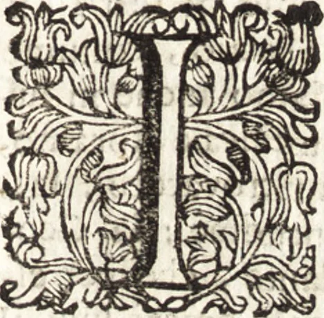 An illustration from Notizie de' professori del disegno da Cimabue in qua : per le quali si dimostra come, e per chi le bell' arti di pittura, scultura, e architettura lasciata la rozzezza delle maniere greca, e gottica, si siano in questi secoli ridotte all' antica loro perfezione, 1681, leaf 138