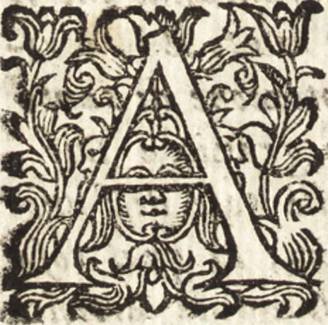 An illustration from Notizie de' professori del disegno da Cimabue in qua : per le quali si dimostra come, e per chi le bell' arti di pittura, scultura, e architettura lasciata la rozzezza delle maniere greca, e gottica, si siano in questi secoli ridotte all' antica loro perfezione, 1681, leaf 147