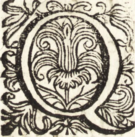 An illustration from Notizie de' professori del disegno da Cimabue in qua : per le quali si dimostra come, e per chi le bell' arti di pittura, scultura, e architettura lasciata la rozzezza delle maniere greca, e gottica, si siano in questi secoli ridotte all' antica loro perfezione, 1681, leaf 205