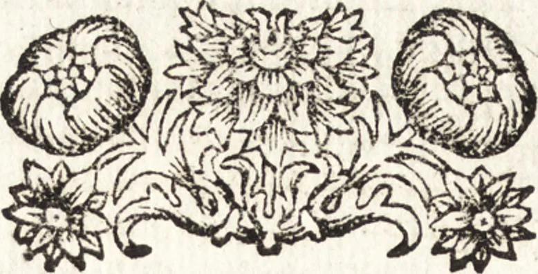 An illustration from Notizie de' professori del disegno da Cimabue in qua : per le quali si dimostra come, e per chi le bell' arti di pittura, scultura, e architettura lasciata la rozzezza delle maniere greca, e gottica, si siano in questi secoli ridotte all' antica loro perfezione, 1681, leaf 209