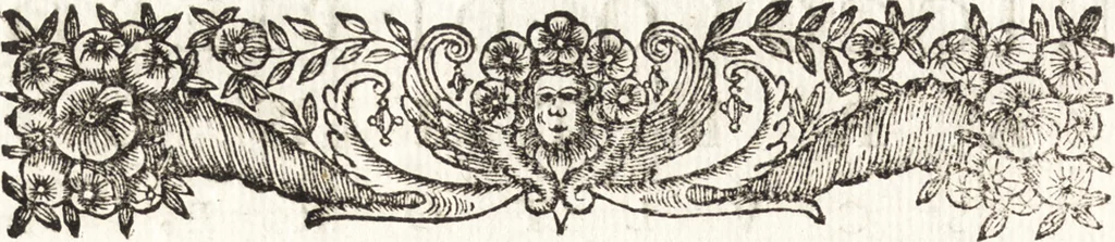 An illustration from Notizie de' professori del disegno da Cimabue in qua : per le quali si dimostra come, e per chi le bell' arti di pittura, scultura, e architettura lasciata la rozzezza delle maniere greca, e gottica, si siano in questi secoli ridotte all' antica loro perfezione, 1681, leaf 211