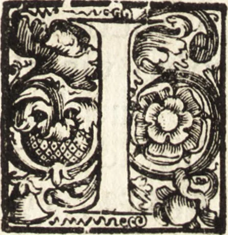 An illustration from Notizie de' professori del disegno da Cimabue in qua : per le quali si dimostra come, e per chi le bell' arti di pittura, scultura, e architettura lasciata la rozzezza delle maniere greca, e gottica, si siano in questi secoli ridotte all' antica loro perfezione, 1681, leaf 224