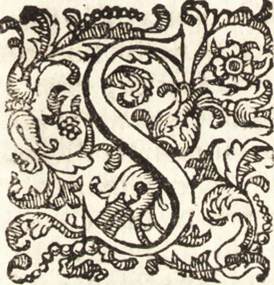 An illustration from Notizie de' professori del disegno da Cimabue in qua : per le quali si dimostra come, e per chi le bell' arti di pittura, scultura, e architettura lasciata la rozzezza delle maniere greca, e gottica, si siano in questi secoli ridotte all' antica loro perfezione, 1681, leaf 284
