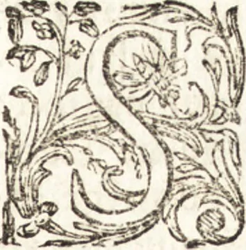 An illustration from Notizie de' professori del disegno da Cimabue in qua : per le quali si dimostra come, e per chi le bell' arti di pittura, scultura, e architettura lasciata la rozzezza delle maniere greca, e gottica, si siano in questi secoli ridotte all' antica loro perfezione, 1681, leaf 306