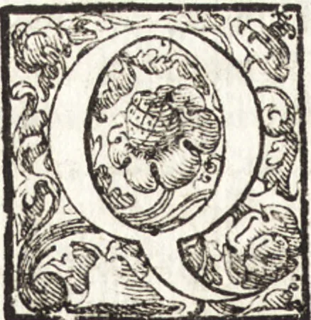 An illustration from Notizie de' professori del disegno da Cimabue in qua : per le quali si dimostra come, e per chi le bell' arti di pittura, scultura, e architettura lasciata la rozzezza delle maniere greca, e gottica, si siano in questi secoli ridotte all' antica loro perfezione, 1681, leaf 323