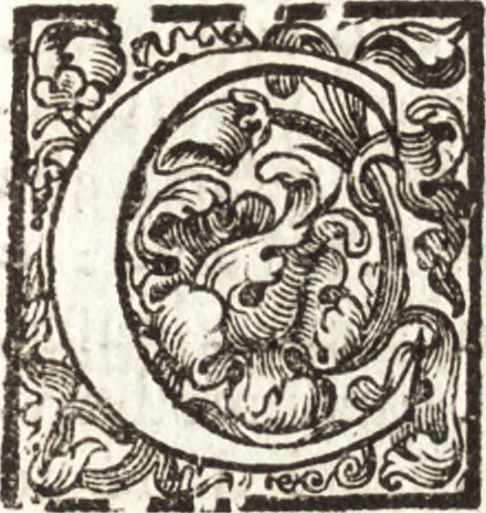 An illustration from Notizie de' professori del disegno da Cimabue in qua : per le quali si dimostra come, e per chi le bell' arti di pittura, scultura, e architettura lasciata la rozzezza delle maniere greca, e gottica, si siano in questi secoli ridotte all' antica loro perfezione, 1681, leaf 344
