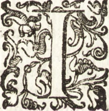 An illustration from Notizie de' professori del disegno da Cimabue in qua : per le quali si dimostra come, e per chi le bell' arti di pittura, scultura, e architettura lasciata la rozzezza delle maniere greca, e gottica, si siano in questi secoli ridotte all' antica loro perfezione, 1681, leaf 348