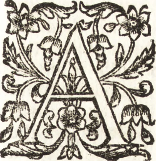 An illustration from Notizie de' professori del disegno da Cimabue in qua : per le quali si dimostra come, e per chi le bell' arti di pittura, scultura, e architettura lasciata la rozzezza delle maniere greca, e gottica, si siano in questi secoli ridotte all' antica loro perfezione, 1681, leaf 418