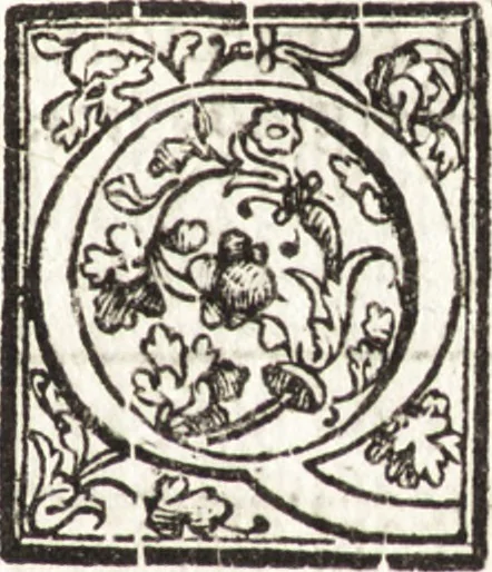 An illustration from Notizie de' professori del disegno da Cimabue in qua : per le quali si dimostra come, e per chi le bell' arti di pittura, scultura, e architettura lasciata la rozzezza delle maniere greca, e gottica, si siano in questi secoli ridotte all' antica loro perfezione, 1681, leaf 442
