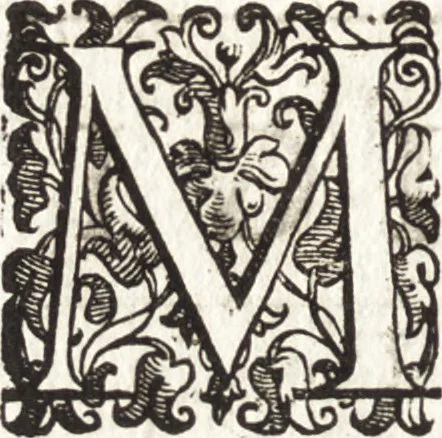 An illustration from Notizie de' professori del disegno da Cimabue in qua : per le quali si dimostra come, e per chi le bell' arti di pittura, scultura, e architettura lasciata la rozzezza delle maniere greca, e gottica, si siano in questi secoli ridotte all' antica loro perfezione, 1681, leaf 443