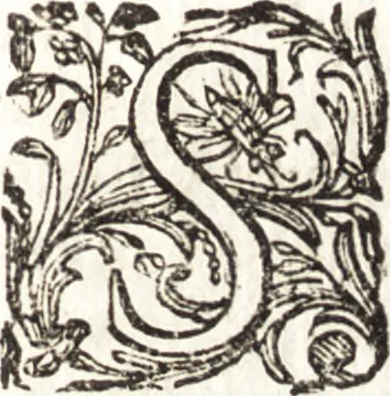 An illustration from Notizie de' professori del disegno da Cimabue in qua : per le quali si dimostra come, e per chi le bell' arti di pittura, scultura, e architettura lasciata la rozzezza delle maniere greca, e gottica, si siano in questi secoli ridotte all' antica loro perfezione, 1681, leaf 452