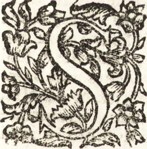 An illustration from Notizie de' professori del disegno da Cimabue in qua : per le quali si dimostra come, e per chi le bell' arti di pittura, scultura, e architettura lasciata la rozzezza delle maniere greca, e gottica, si siano in questi secoli ridotte all' antica loro perfezione, 1681, leaf 478