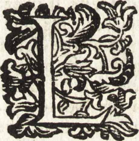 An illustration from Notizie de' professori del disegno da Cimabue in qua : per le quali si dimostra come, e per chi le bell' arti di pittura, scultura, e architettura lasciata la rozzezza delle maniere greca, e gottica, si siano in questi secoli ridotte all' antica loro perfezione, 1681, leaf 509