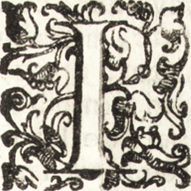 An illustration from Notizie de' professori del disegno da Cimabue in qua : per le quali si dimostra come, e per chi le bell' arti di pittura, scultura, e architettura lasciata la rozzezza delle maniere greca, e gottica, si siano in questi secoli ridotte all' antica loro perfezione, 1681, leaf 510