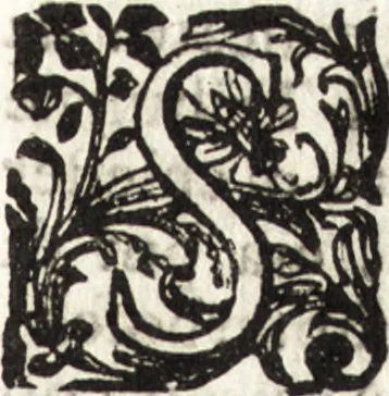 An illustration from Notizie de' professori del disegno da Cimabue in qua : per le quali si dimostra come, e per chi le bell' arti di pittura, scultura, e architettura lasciata la rozzezza delle maniere greca, e gottica, si siano in questi secoli ridotte all' antica loro perfezione, 1681, leaf 562